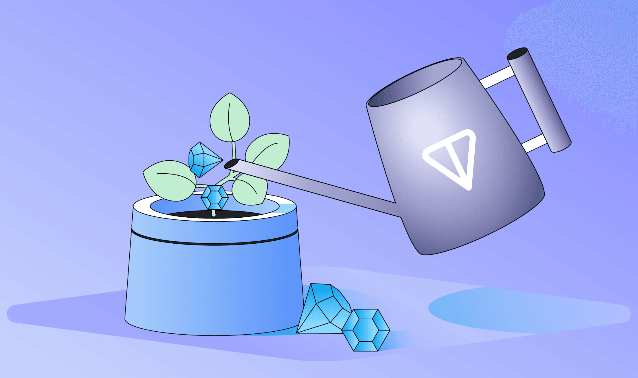 TON Foundation Grant Support: January 2024