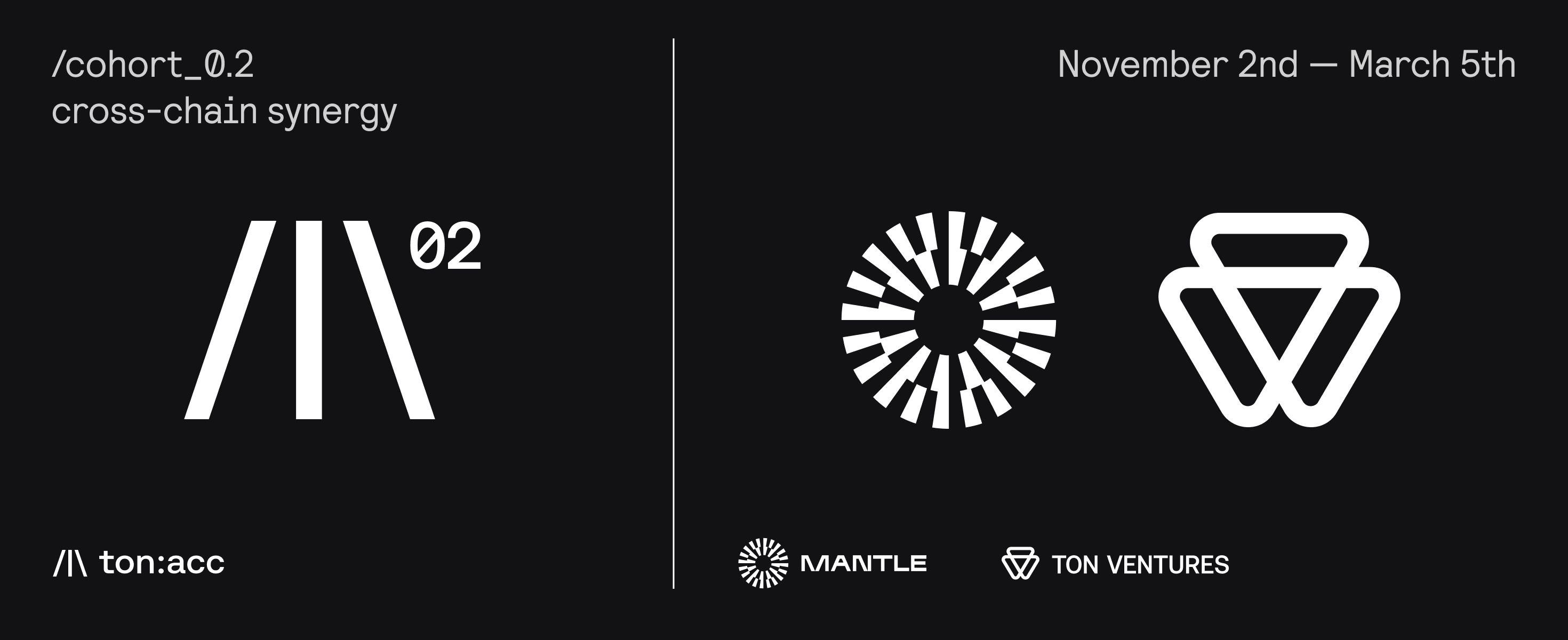 TON Accelerator Launches “Synergy”: A $5M Cross-Chain Initiative to Drive Innovation Across TON and EVM Ecosystems