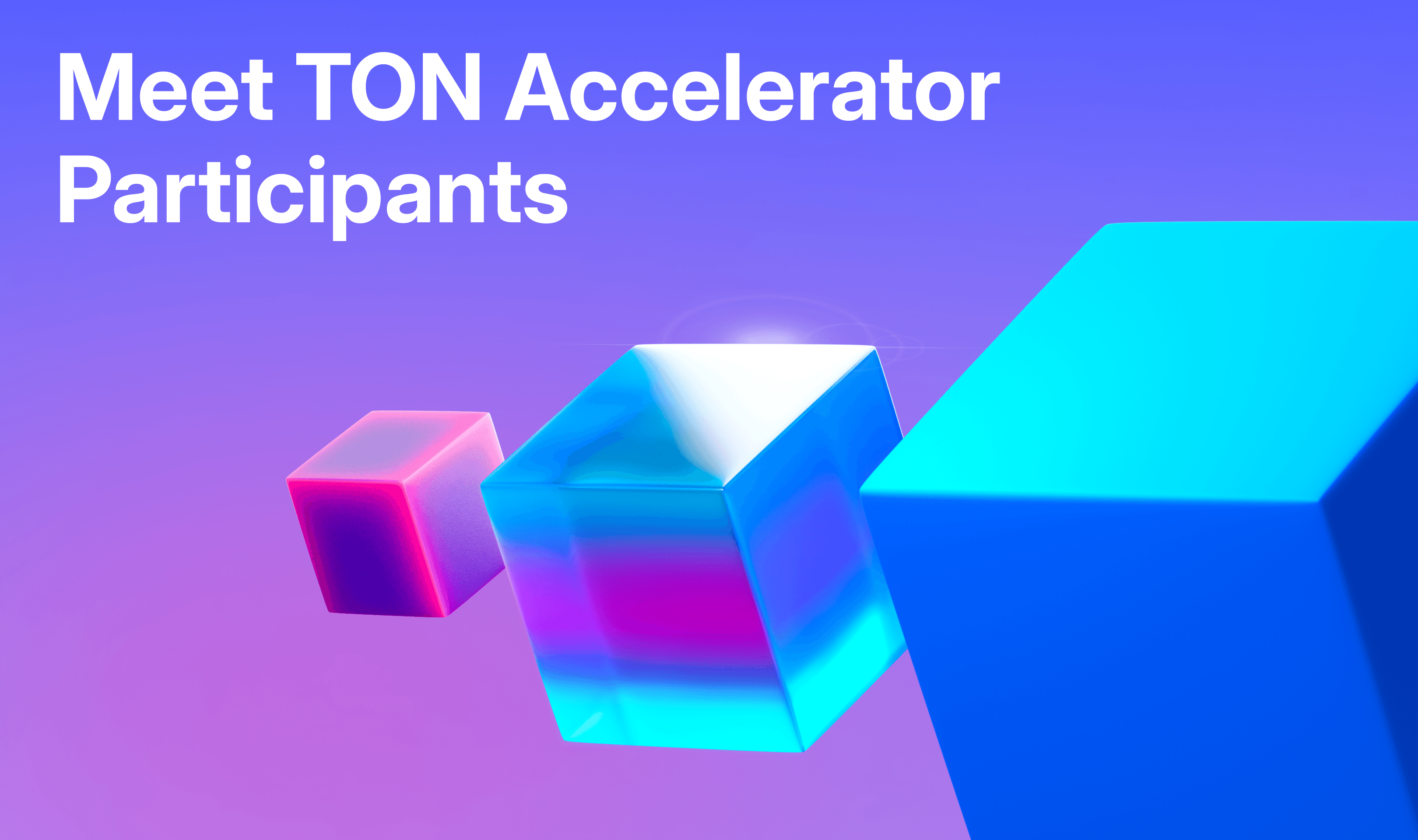TON Accelerator Participants Announcement